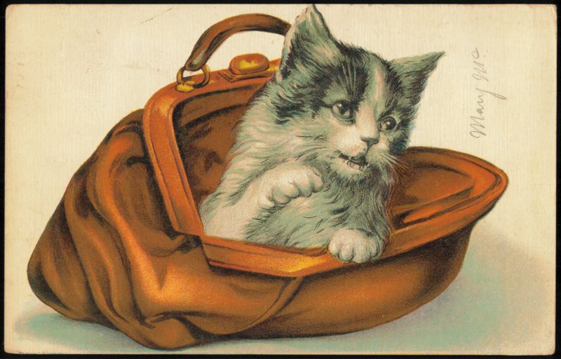 Black and White Kitten in Brown Leather Bag Cats