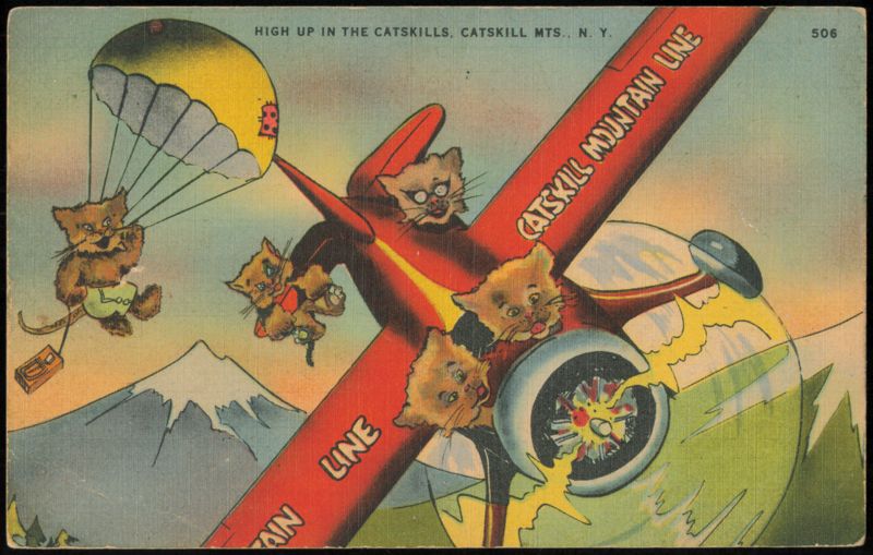 Catskill Mountain Line Airplane with Parachuting Cats New York