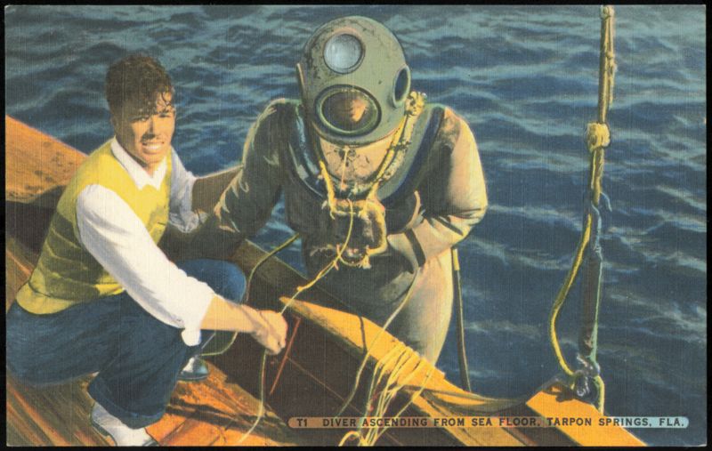 Diver Ascending from Sea Floor Tarpon Springs Florida