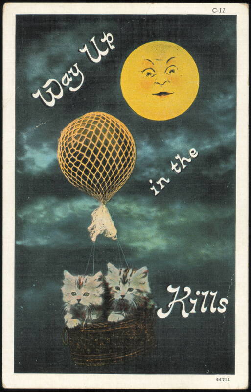 Kittens in Hot Air Balloon Way Up in the Kills Cats