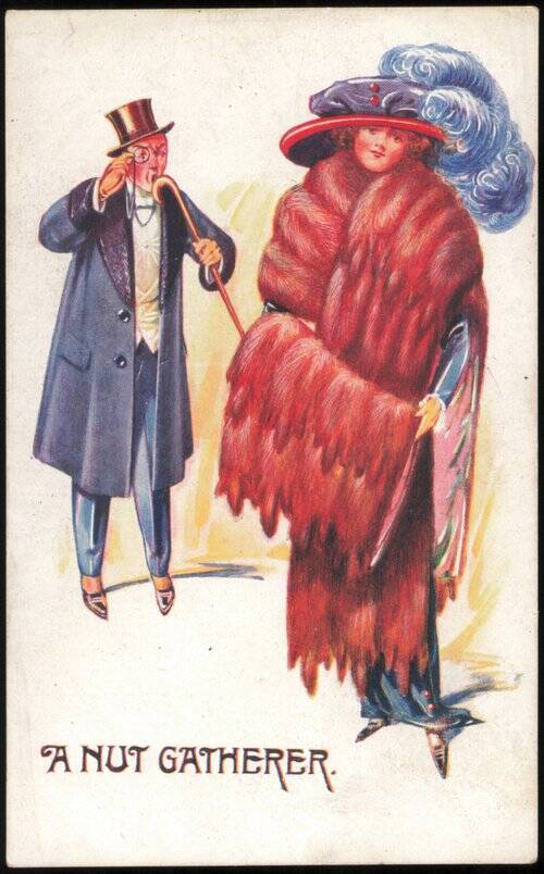 A Nut Gatherer Humorous Illustration, Smart Set Series
