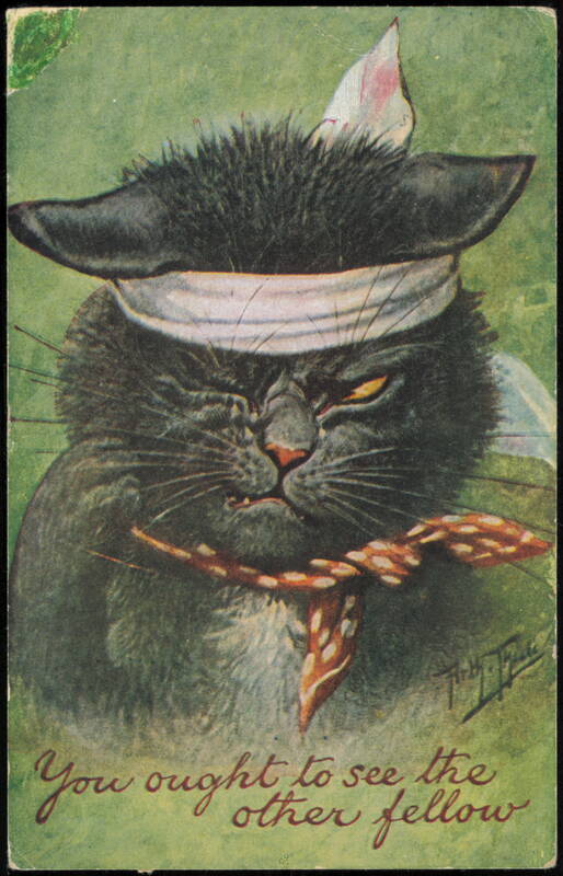 You Ought to See the Other Fellow Black Cat by Arthur Thiele