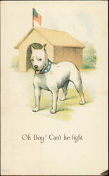 "Oh Boy! Can't He Fight" Patriotic White Pit Bull Dog Postcard