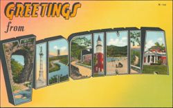 Greetings from Virginia Large Letter Scenic Landmarks Postcard