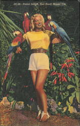 Woman with Macaws at Parrot Jungle, Red Road Postcard
