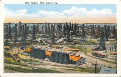 Oil Field with Dense Derricks and Industrial Structures Postcard