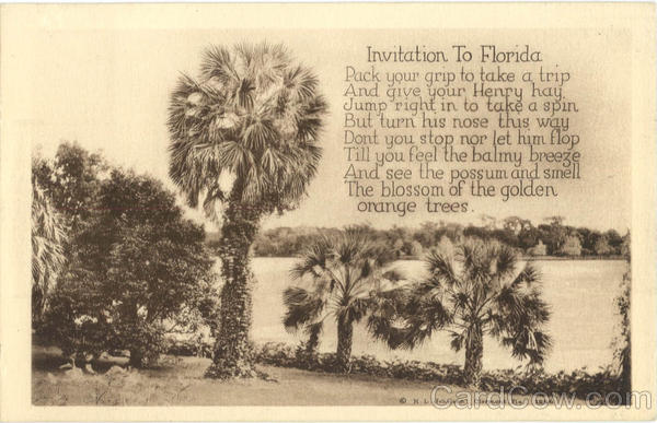 Invitation To Florida Scenic