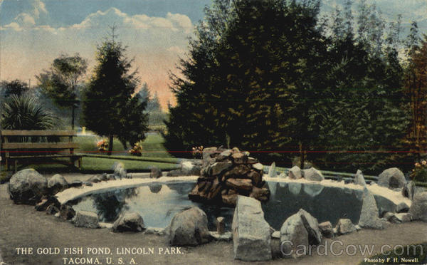 The Gold Fish Pond, Lincoln Park Tacoma Washington