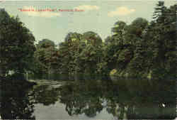 Scene in Laurel Park Postcard