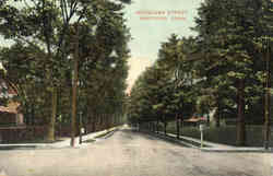 Woodland Street Hartford, CT Postcard Postcard