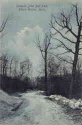 Scene in John Ball Park Postcard