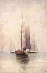 Sailboats Postcard