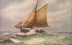 Sailboat Postcard