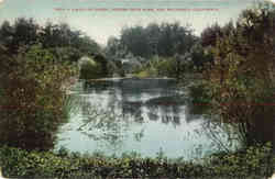 Chain of Lakes, Golden Gate Park Postcard