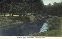 Wild Cat Scene, Elliott Park Greentown, IN Postcard Postcard