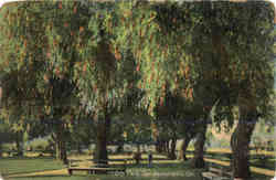 City Park San Bernardino, CA Postcard Postcard