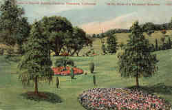 Scene in Busch's Sunken Gardens Pasadena, CA Postcard Postcard