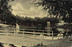 Forest Park Postcard