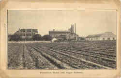Plantation Home and Sugar Refinery Postcard