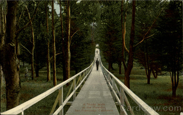 A Shady Walk At The Presidio San Francisco California