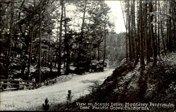View On Scenic Drive Pacific Grove California
