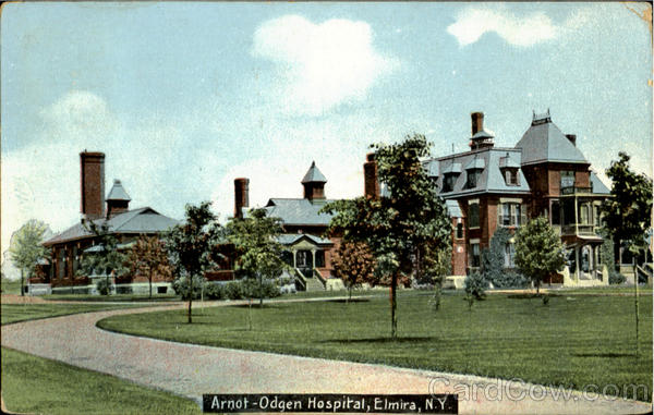 Arnot Odgen Hospital Elmira New York