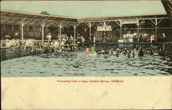 Swimming Tank At Agua Caliente Springs Postcard