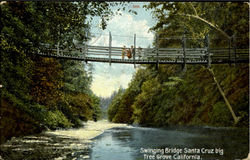 Swinging Bridge Santa Cruz, CA Postcard Postcard