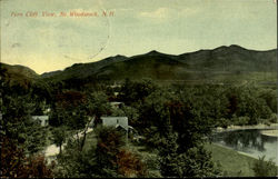 Fern Cliff View Postcard