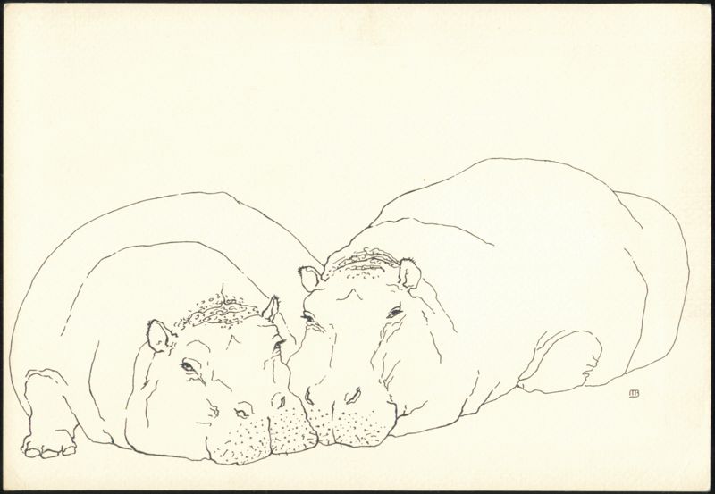 Joe Smith and Arusha Hippopotamuses, National Zoo Drawing Washington District of Columbia