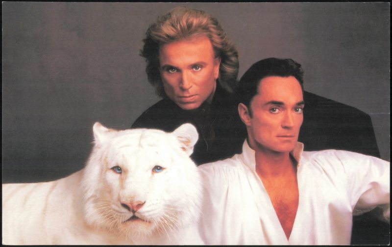 Siegfried & Roy with Sitara, Royal White Tiger, Mirage Las Vegas Nevada