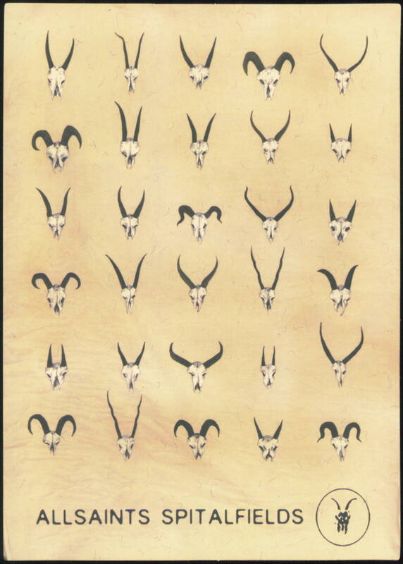 AllSaints Spitalfields Animal Skull Collection Illustration London United Kingdom