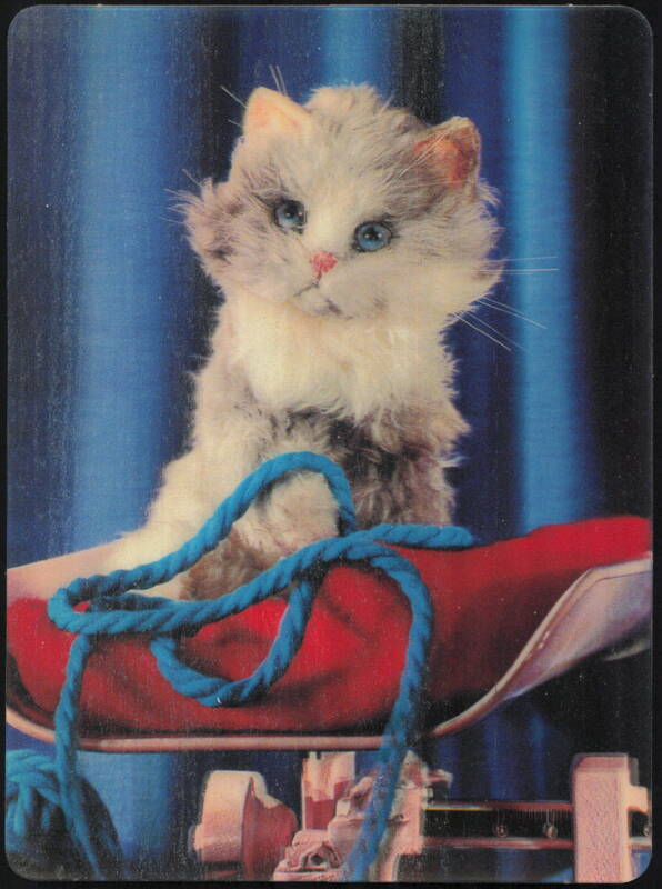 3-D Collector Series What's New Pussycat Kitten Cats
