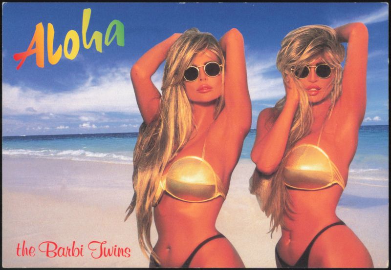 The Barbi Twins Aloha Hawaii Beach Scene Swimsuits & Pinup