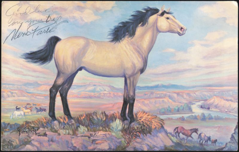 Buckskin Wild Stallion High on Mesa Oil Painting Vern Parker