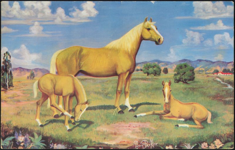Palomino Mare and Colts Painting by Vern Parker Phoenix Arizona