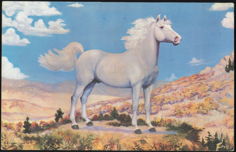 White Stallion, King of the Herd by Vern Parker Horses