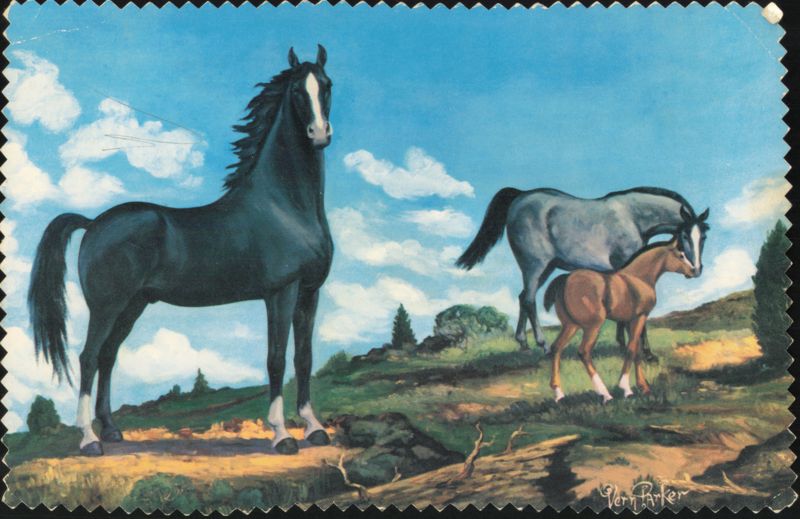 Black Stallion Oil Painting by Artist Vern Parker Phoenix Arizona