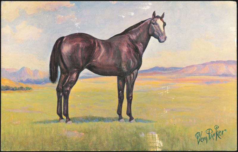 Ranger Quarter Horse Stallion Oil Painting by Vern Parker Benson Arizona