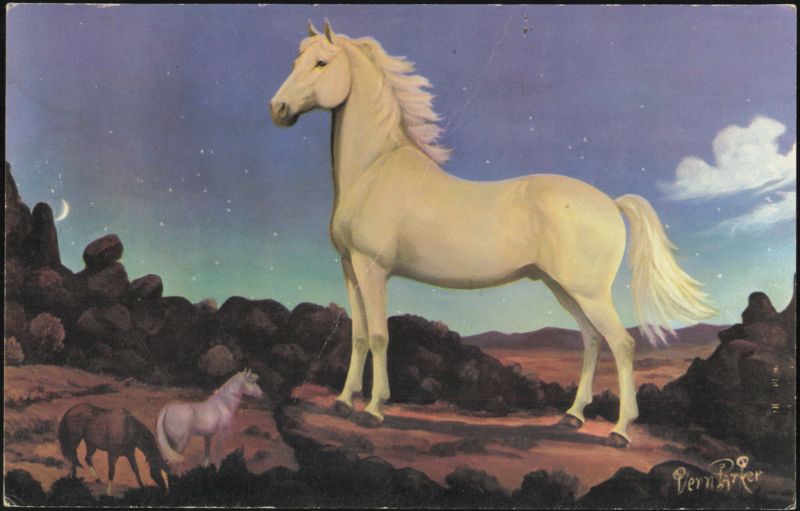 White Stallion in the Moonlight Painting by Vern Parker