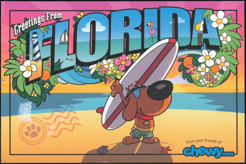 Greetings From Florida Chewy.com Promotional Dog Card Dania Beach