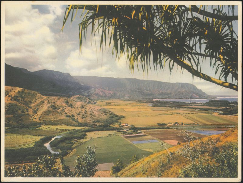 Hanalei Valley, Kauai, Hawaii Scenic Landscape View