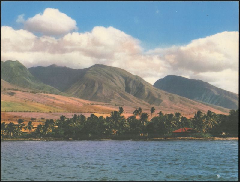 Panorama of West Maui Mountains and Sugarcane Fields Hawaii