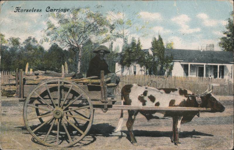 Black Man on Ox Cart Loaded with Wood, Horseless Carriage