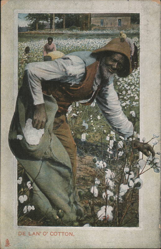 De Lan' O' Cotton, Man Harvesting Field, Raphael Tuck