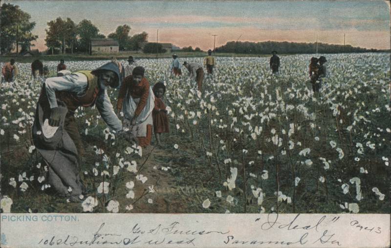 Raphael Tuck Dixie Land No. 1098 Picking Cotton Field