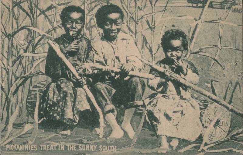 Three Black Children Eating Sugarcane in Sunny South
