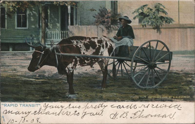 Rapid Transit, African American in Ox Cart, Tuck 2181