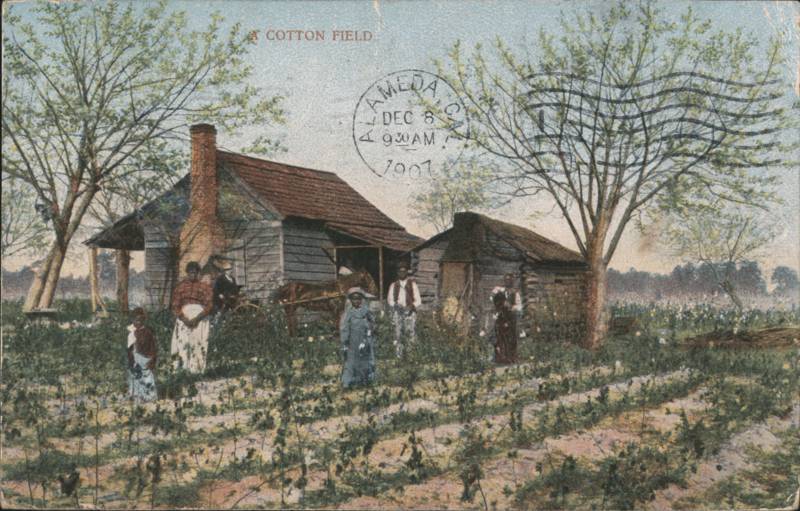 A Cotton Field, African American Family by Cabin Black Americana