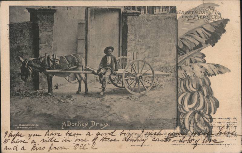 A Donkey Dray, Boy with Donkey Cart, Bermuda Black Americana